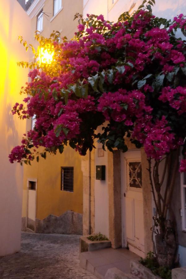 Proa D'Alfama Guest House Lisboa エクステリア 写真