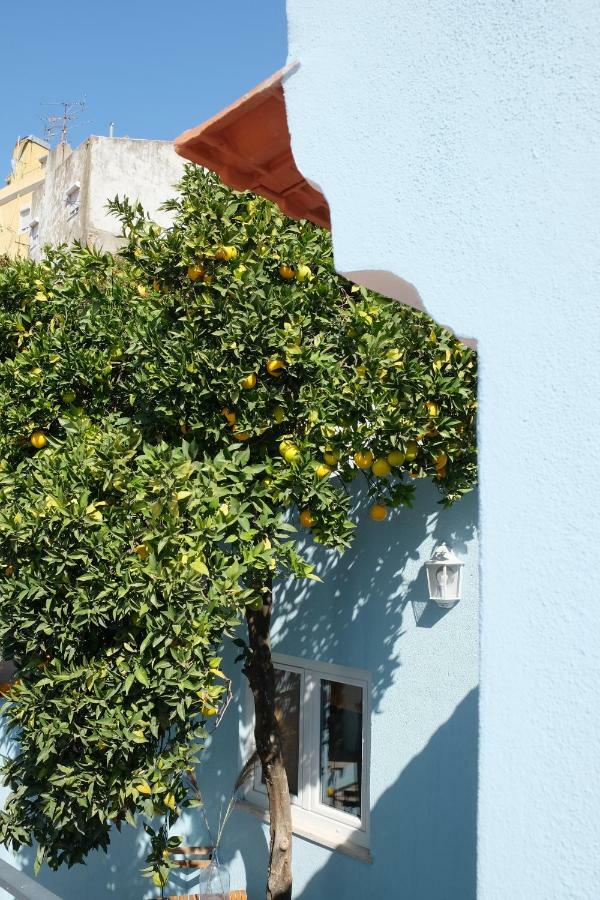 Proa D'Alfama Guest House Lisboa エクステリア 写真