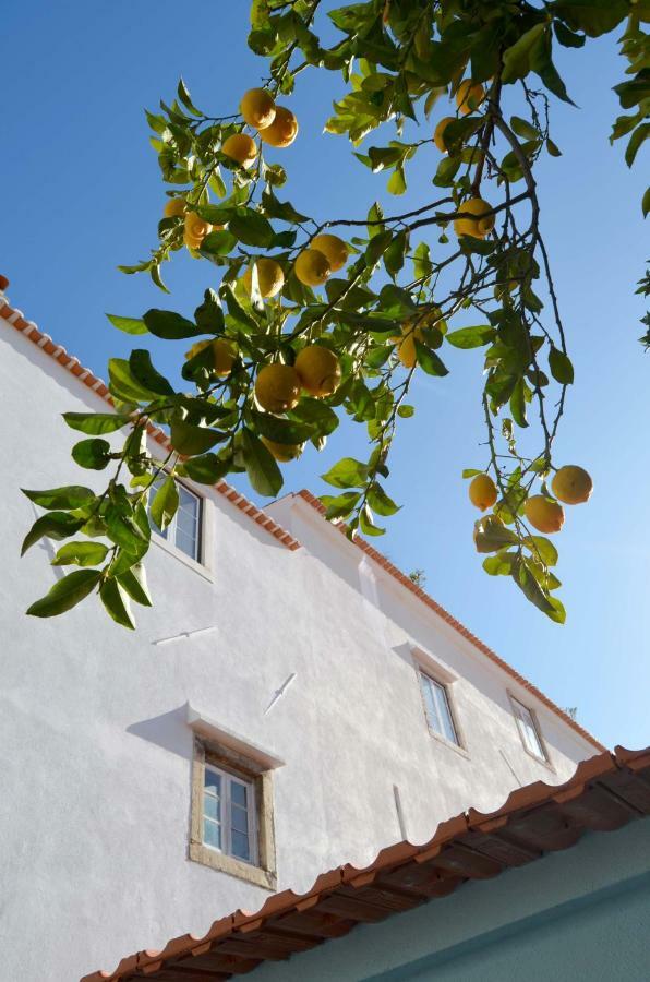 Proa D'Alfama Guest House Lisboa エクステリア 写真